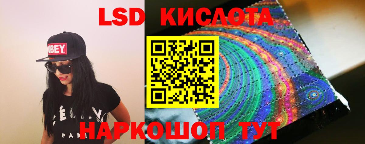 МЕФ Кузнецк
