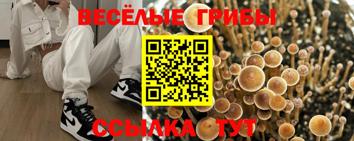 Галлюциногенные грибы мухоморы Кузнецк